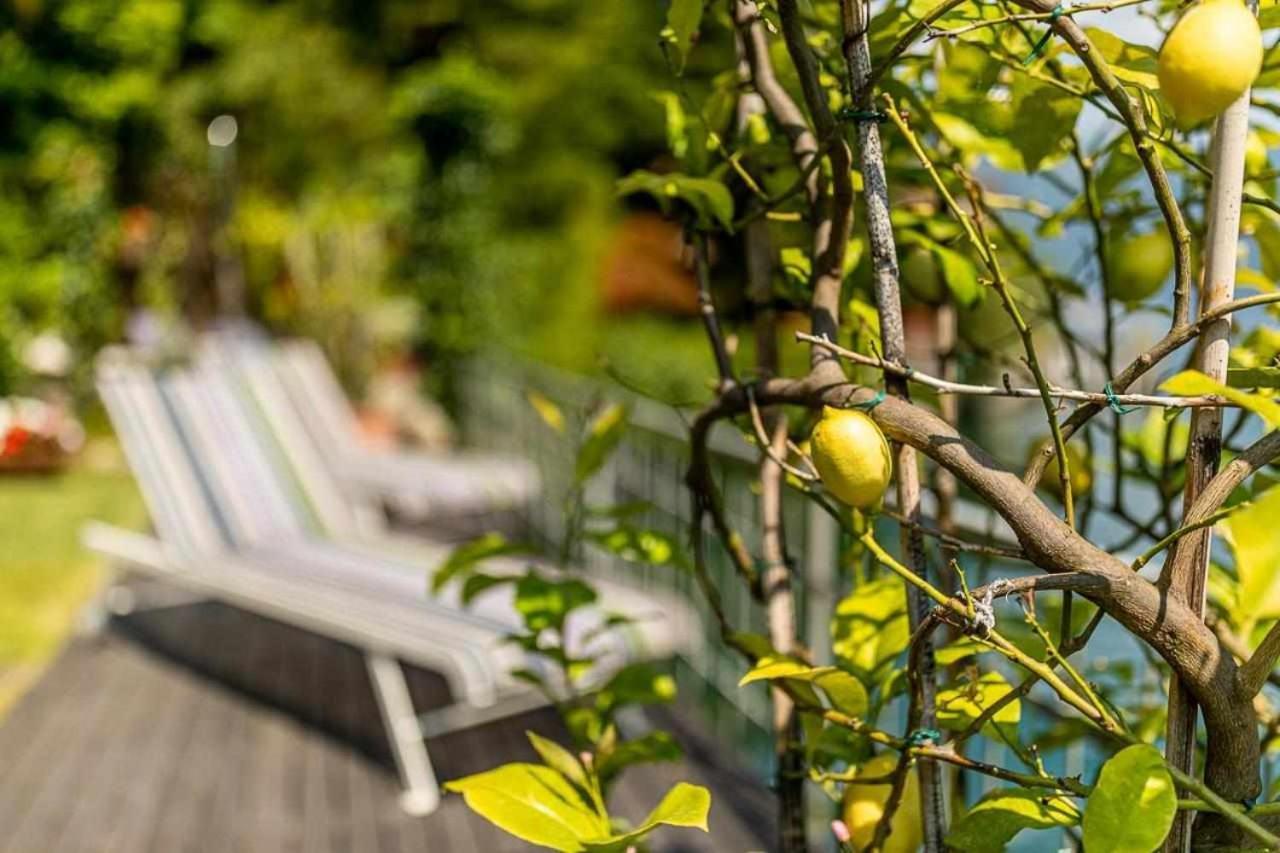 Villa Delle Edere Brienno Kültér fotó